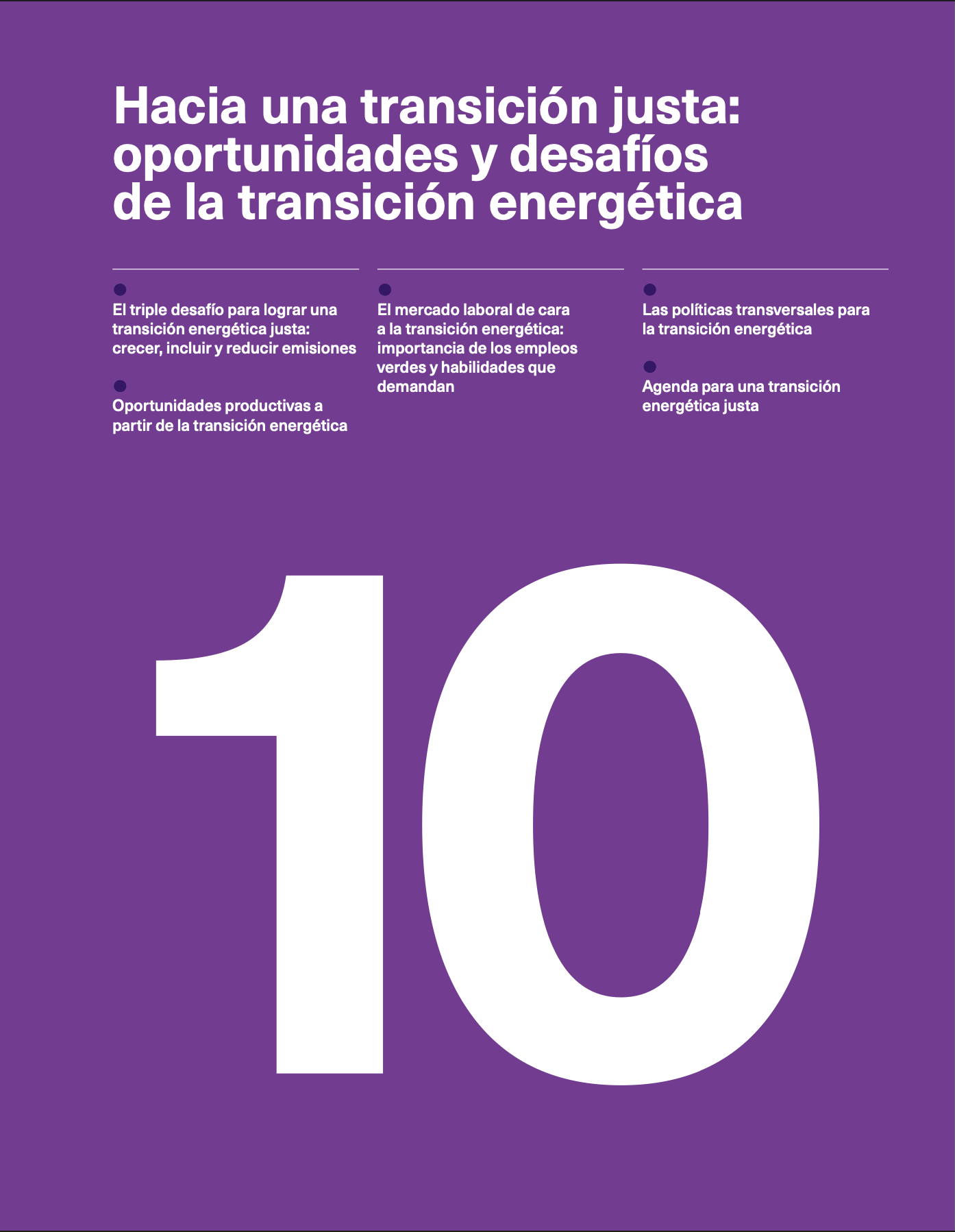 RED 2024 - Capítulo 10: Hacia una transición justa: oportunidades y ...